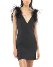 Pinko Pica Abito Feather Trim Crepe Dress