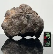 NWA XXX 136.06g Meteorite, Unclassified, Probable Type L, Fragmented Individual