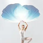 2 Pcs Dance Worship Flag with Telescopic Pole, Praise Dance Flag Charming Elegant Worship Praise Portable for Church Banner 1.4×1.9m (White Blue)