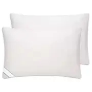 Soft down Alternative Standard Pillow (Set of 2)