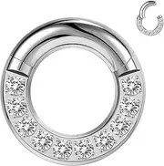 [BodyAce] CZ Hinged Segment Clicker PA Rings, 2G 4G 6G 8G 10G 12G Large Septum Nose Rings, Surgical Steel Spring Action BCR Ring Ear Gauges Earrings Hoops