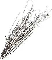 Nature to Your Space: 10pcs Dried Twig Model Greenery Branches for Home Office Decor for Occasions