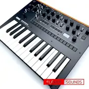 Korg Monologue-BK Monophonic Analog Synthesizer Black 25-keys Genuine Products