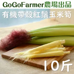 【GoGoFarmer】有機帶殼紅鬚玉米筍(10台斤) -倉