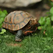 Home Garden Ornament Outdoor Yard Garden Turtle Statues Decoration