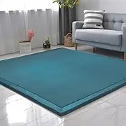 Living Room Home Decor Coral Fleece Area Rug,Modern Nursery Washable Kids Bedroom Rug,Girls Boys Soft Non-Slip Soft Mat,2cm Thick Kids Carpet-J- 200 * 200cm