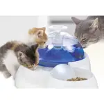 肥肥鼠   HAGEN CAT IT 淳淨湧泉飲水器(3公升)