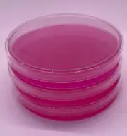 3 DRBC Agar Plates pre poured, Sterilized