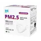 【天天】PM2.5 防霾口罩 新A級防護 紫色警戒專用 L尺寸 12入/盒 (白色)