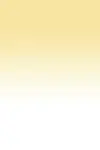 Lee Filter Straw Grad 100x150mm 2mm Straw 2 SOFT | Black