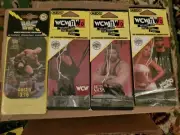 Lot of 4 WWE WCW NWO WWF Car Air Fresheners STING AUSTIN MACHO MAN/DIVA NASH