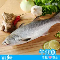 在飛比找鮮拾優惠-【臺北魚市】 生產追溯 午仔魚(250g/包)*3包