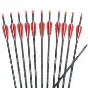 28/30/31 Inches Spine 300/400 Carbon Arrow with Red and White Color