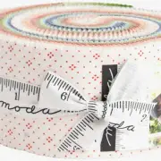 FigTree Quilter's Delight: 40 Vibrant 2.5" Strips 20488JR