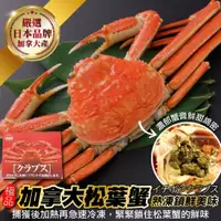 在飛比找iOPEN Mall優惠-日本品牌加拿大熟凍松葉蟹(整隻)(每隻350-500g)【海