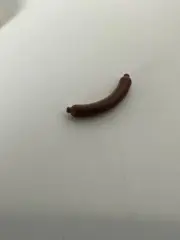 ☀️ Lego Minifigure- Brown Salami☀️