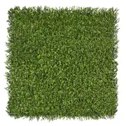 Premium Natural Buxus Hedge Panels UV Resistant 1m x 1m