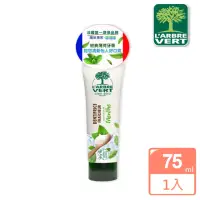 在飛比找momo購物網優惠-【綠活維】牙膏75ML(兩款味道)