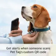 Ring Pet Tag with QR Code | Real-Time Alerts | Shareable Profile | No Fees