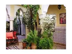 Riad Villa Harmonie