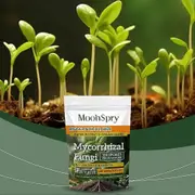 Mycorrhizal Fungi Organic Root Enhancer - 100g As shown