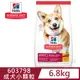 [送贈品 Hills 希爾思 603798 成犬 小顆粒 雞肉與大麥 6.8kg/15LB 寵物 狗飼料