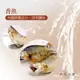 大恆水產 公香魚-1000g-10尾-盒 (2盒組)