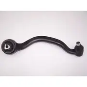 Wasp Control Arm - WBJ13574