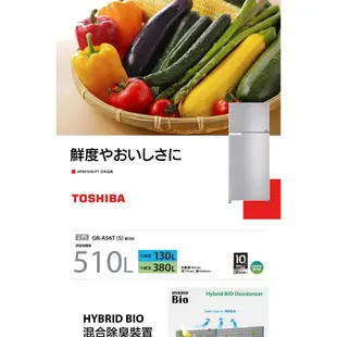 實體店 TOSHIBA新禾東芝 510L 變頻電冰箱 【GR-A56T-S GT-A56T】 一級能效