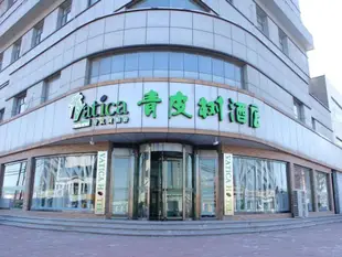 青皮樹天津市靜海縣汽車站家世界購物廣場酒店Vatica Tianjin Jinghai Bus Station Home World Plaza Hotel