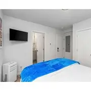 Delorean Time Machine Sweet Suite