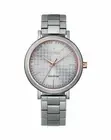 Citizen Ladies Eco-Drive Silver Dial Watch (EM0766-50A)