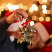 MISTLETOE KISSES Fragrance Oil for making Candles, Soaps, Wax Melts etc.