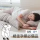 【Dpillow】抗菌防蹣孕婦用長型抱枕(奈米氧化鋅纖維)