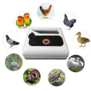 New Design 12-35 Egg Incubator Automatic Chicken Eggs Incubator Smart Digital Bi