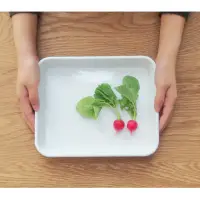 在飛比找蝦皮購物優惠-野田琺瑯調理盤 21取(24.2×19.6×3.5cm)烤盤