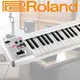 【非凡樂器】Roland A-49 可攜式控制鍵盤 / 白色款 / 公司貨保固