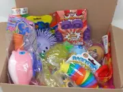 12 Mystery Fidget Toys Assorted Bundle Pack Push Pop Soft Toy 700g+