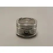 Austral Piston Set - PO970 STD