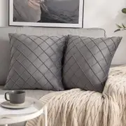 Velvet Throw Pillow Square Soft Couch Pillows Set of 2 (Inserts + Pillow Covers, Grey)