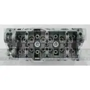 Nason Cylinder Head - Bare - 909521