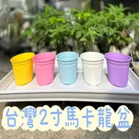 在飛比找momo購物網優惠-【熊貓購物】2寸彩色盆(栽培盆 塑膠花盆 圓盆 花盆 2吋盆