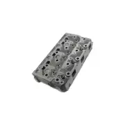 NEW Bare Cylinder Head for Kubota L2501 HST