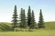 Scene Scapes Trees 4 6 Spruce Trees Train