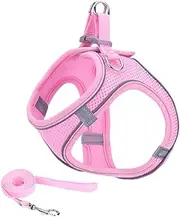 Cat Harness and Lead Set for Walking Escape Proof, Escape Proof Kitten Harness with Breathable Lightweight Soft Mesh, Adjustable Reflective Step-in Design for Outdoor, Comfort Fit, Easy to Control. (X