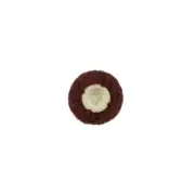 Scotch-Brite Roloc Surface Conditioning Disc, SC-DS, A/O Medium, TS, 3/4"