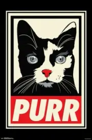 RACHEL CALDWELL - PURR CAT POSTER - 22x34 - 17787