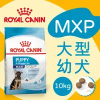 在飛比找Yahoo!奇摩拍賣優惠-[快夏丹] 法國皇家 MXP MXPP 大型幼犬 大型犬 幼