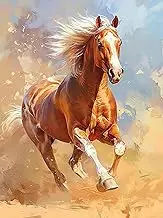 Biishow Diamond Art Kits for Adults Horse - 30x40cm Diamond Art Painting Accessories Animal Full Drill Round Rhinestone Cross Stitch Embroidery Canvas, Ideal for DIY Craft & Home Wall Decor