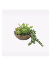 [Willow & Silk] Artificial Succulent Plant in Pot in Green/Natural